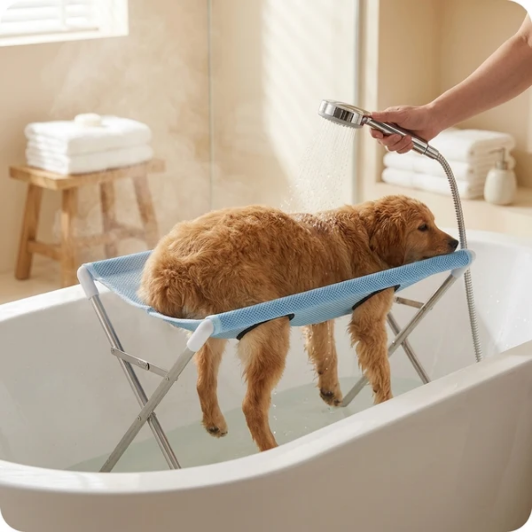 Adiós al Baño Difícil | Sujeta y Baña